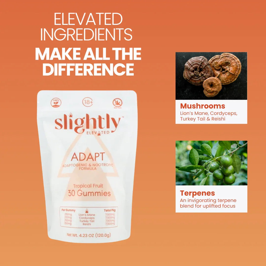 Slightly Elevated Adapt Gummies 30ct by Slightly Elevated sits on a wooden surface with greenery blurred in the background, highlighting adaptogens and nootropics for stress relief.