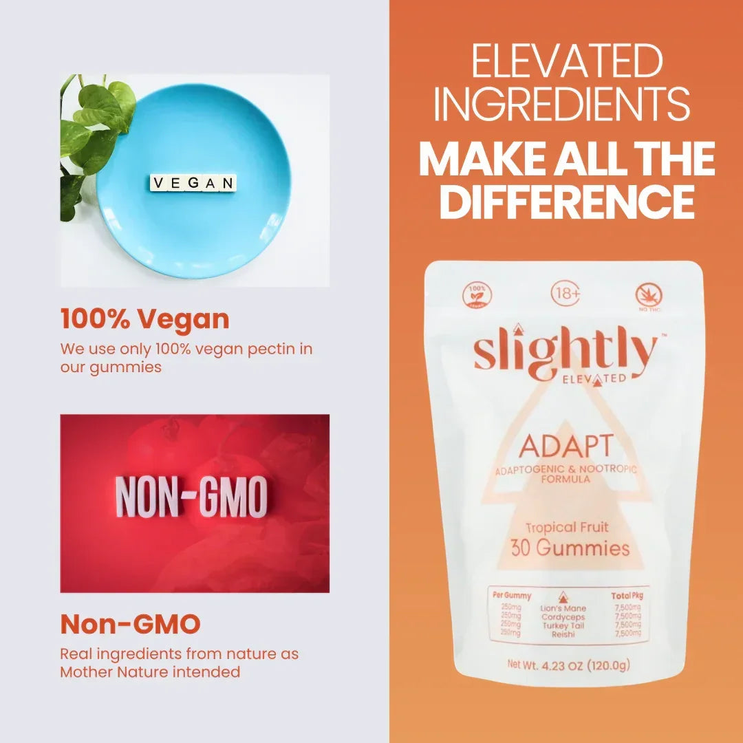 A white, resealable pouch labeled Slightly Elevated Adapt Gummies 30ct by Slightly Elevated sits on a wooden surface with greenery blurred in the background, highlighting adaptogens and nootropics for stress relief.