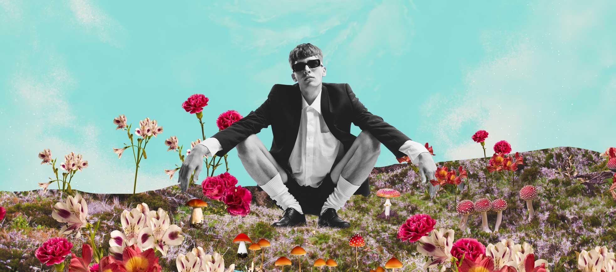 CoastalShroomz-HPHeader-Field - Coastal Shroomz