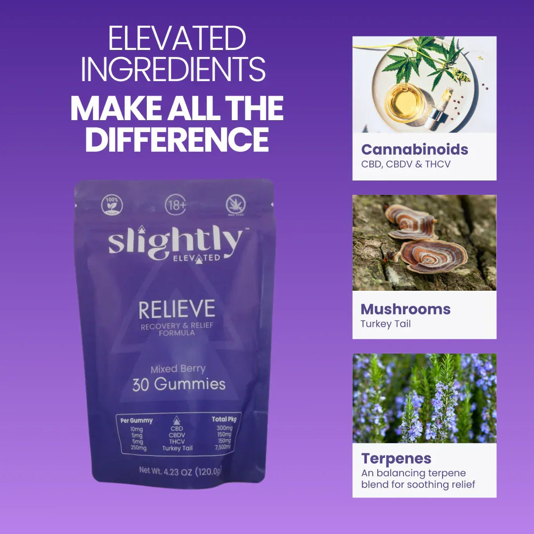 A purple pouch of Slightly Elevated Relieve Gummies 30ct stands on a table, displaying dosage, ingredients, and CBD recovery info. Books and a jar are in the background near a sunlit window.
