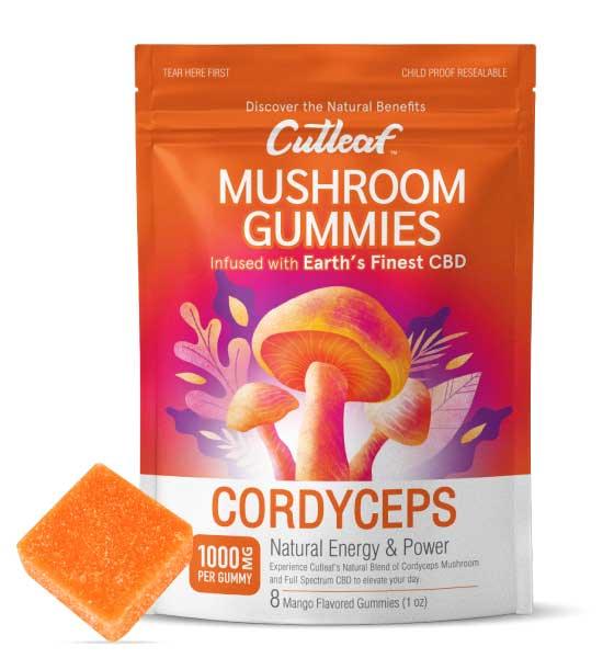 Cutleaf Cordyceps Mango Mushroom CBD Gummies