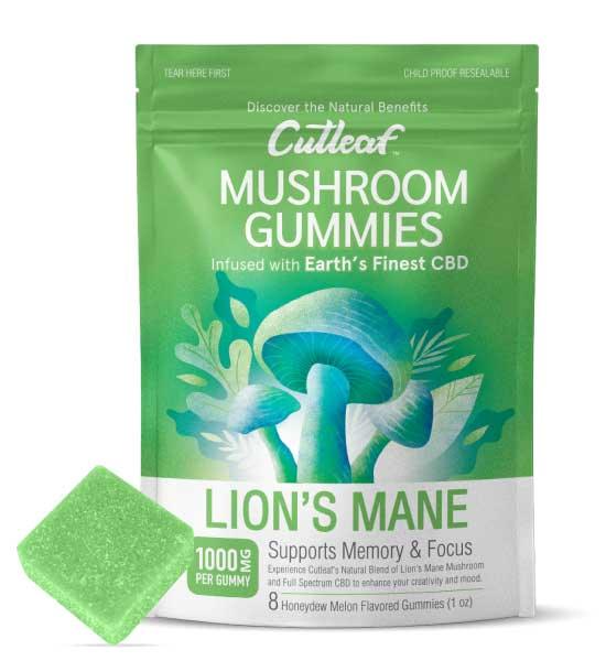 Cutleaf Lion's Mane Mushroom CBD Gummies