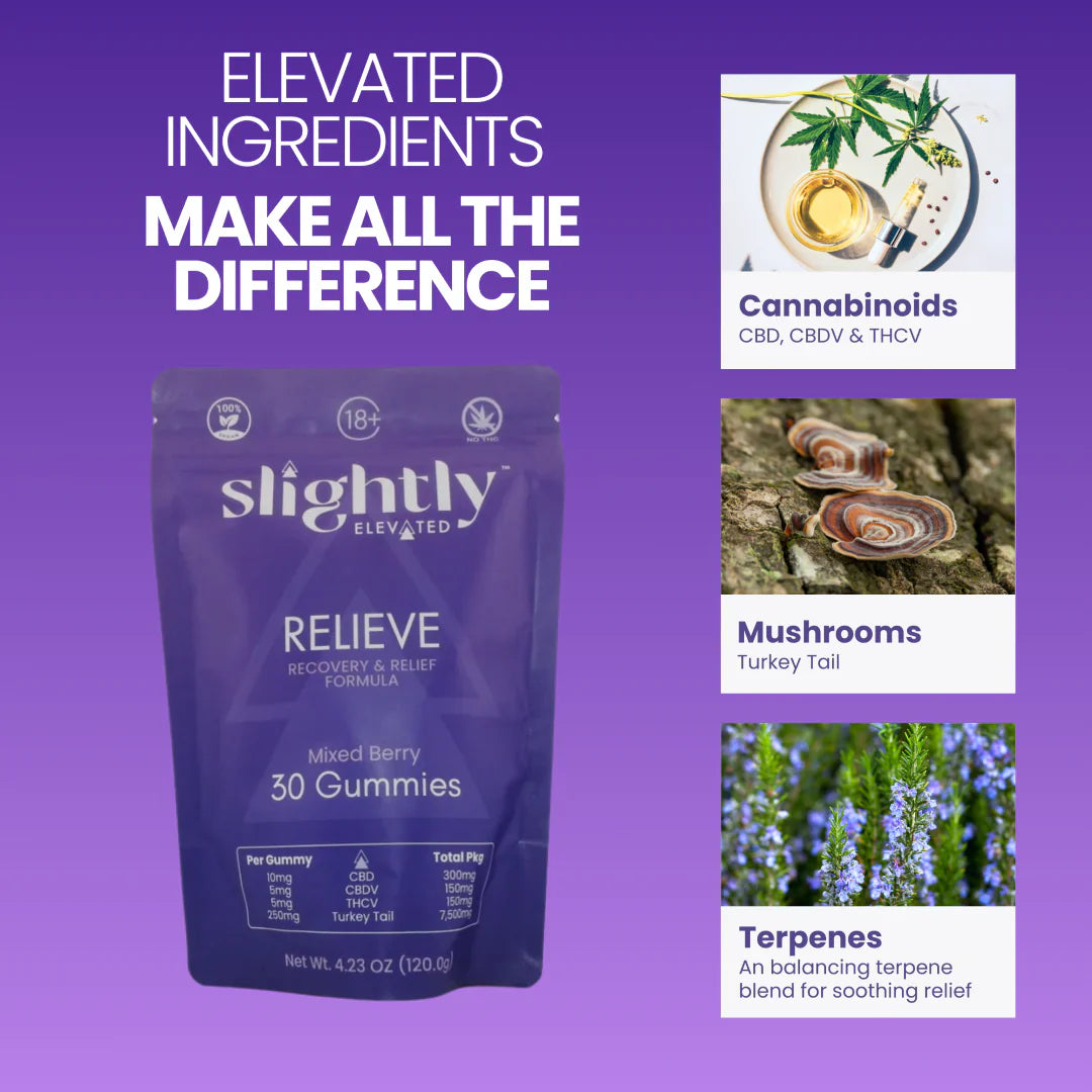 A purple pouch of Slightly Elevated Relieve Gummies 30ct stands on a table, displaying dosage, ingredients, and CBD recovery info. Books and a jar are in the background near a sunlit window.